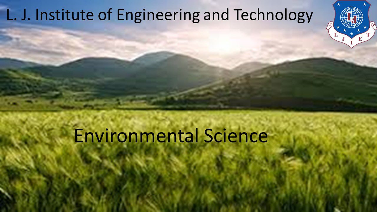 Odoo - Sample 1 for three columns