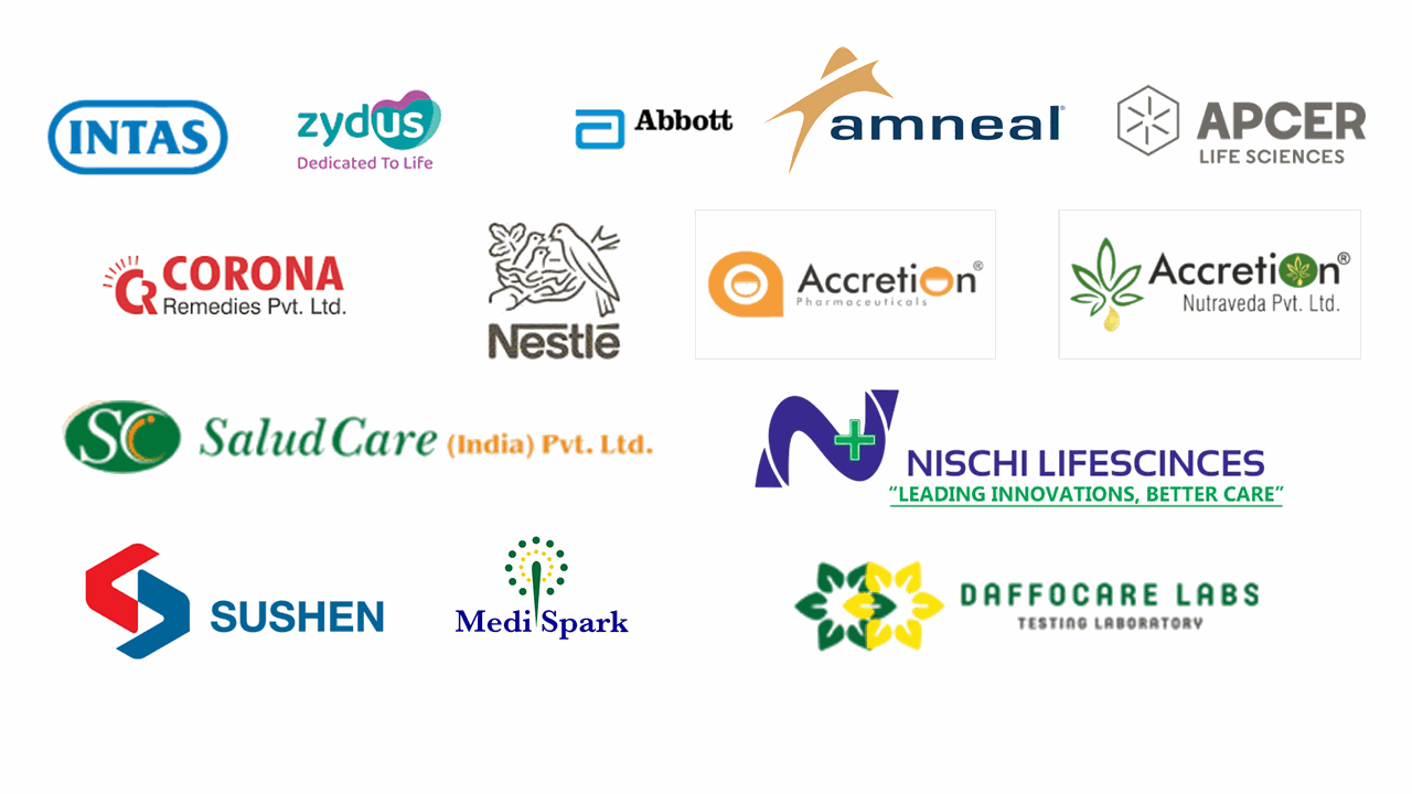 Odoo CMS - a big picture