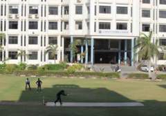 Odoo - Sample 1 for three columns